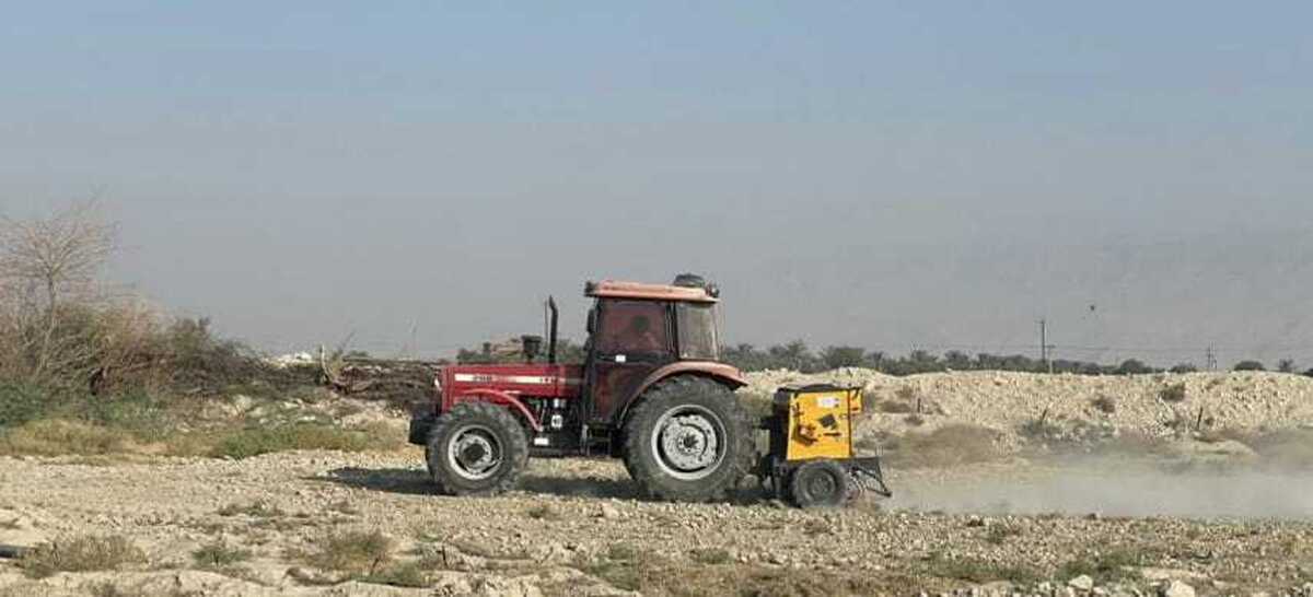 کشت کلزا در لامرد به پایان رسید