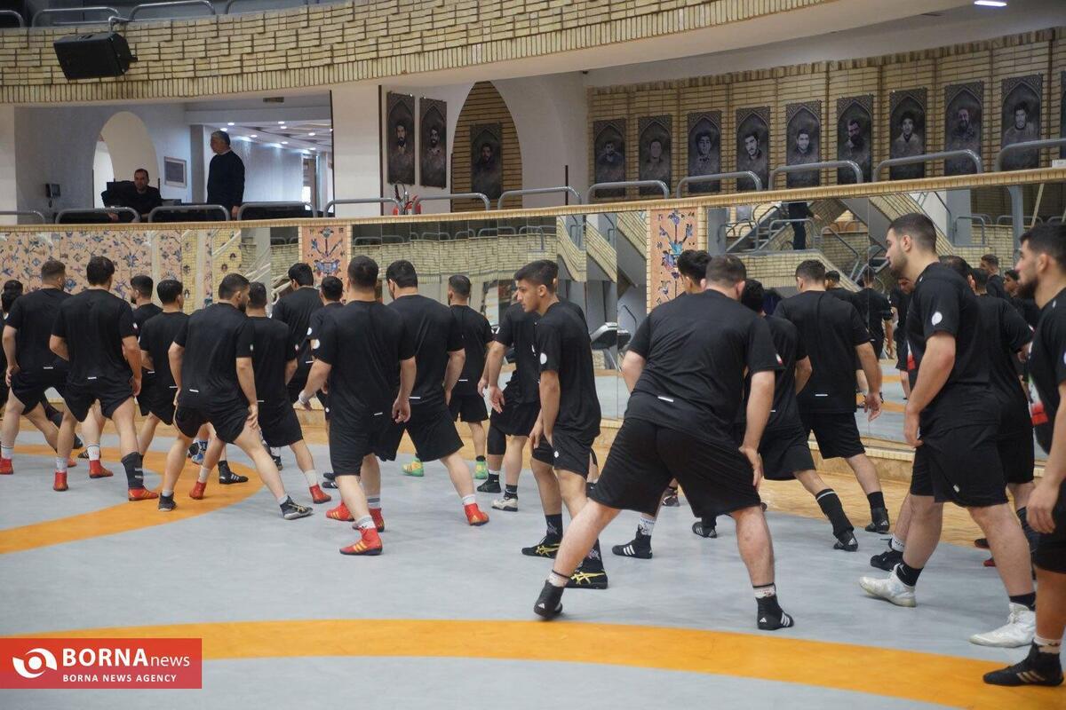 اتحادیه جهانی قهرمانی کشتی ایران در مسابقات جهانی ۲۰۱۵ را تأیید کرد