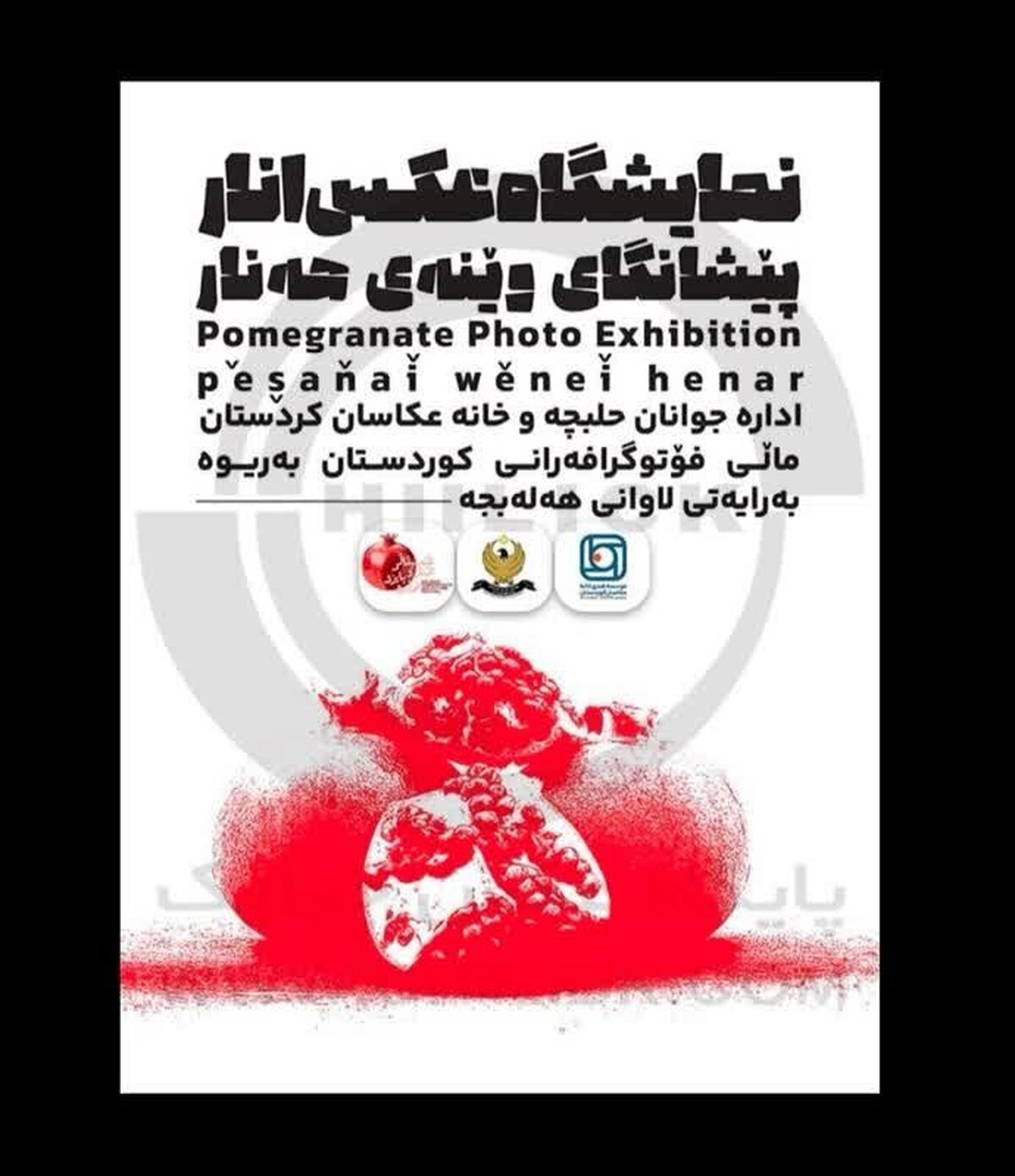 اعلام اسامی منتخبین نمایشگاه جشنواره بین المللی  عکس 