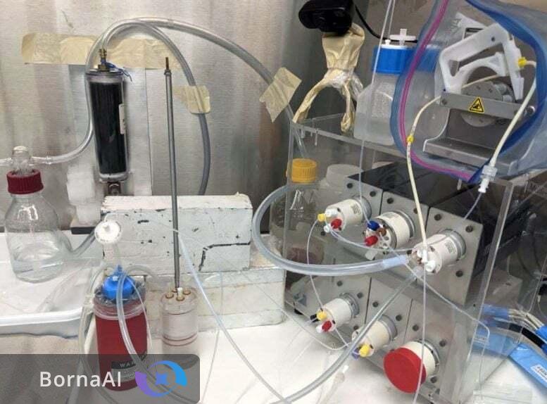 کشف راهی که نادرترین درمان سرطان را متحول میکند کشف راهی که نادرترین درمان سرطان را متحول میکند