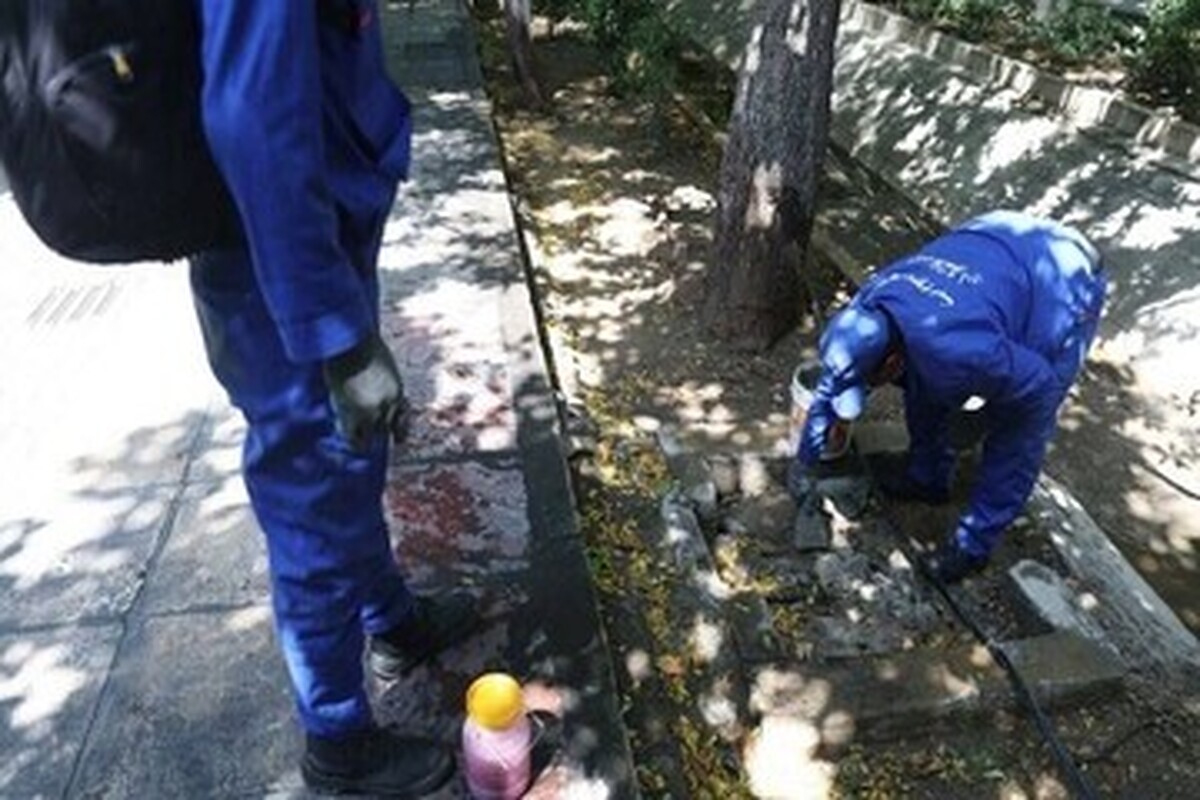 تهیه نقشه‌های جمعیتی جانوران مضر شهری و اجرای برنامه‌های علمی برای کنترل