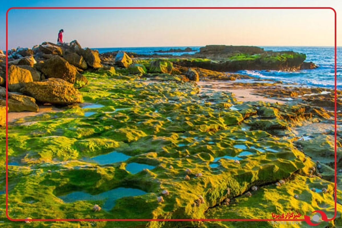 زیبایی طبیعی و چشم‌نواز سواحل غرب هرمزگان