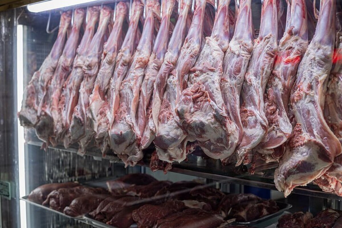 توزیع روزانه بیش از ۶۰ تن گوشت قرمز در میادین و بازار‌های میوه و تره‌بار