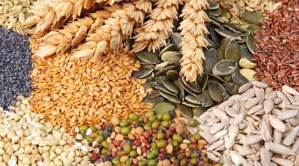 آغاز ثبت سفارش جدید دانه‌های روغنی و کنجاله از امروز