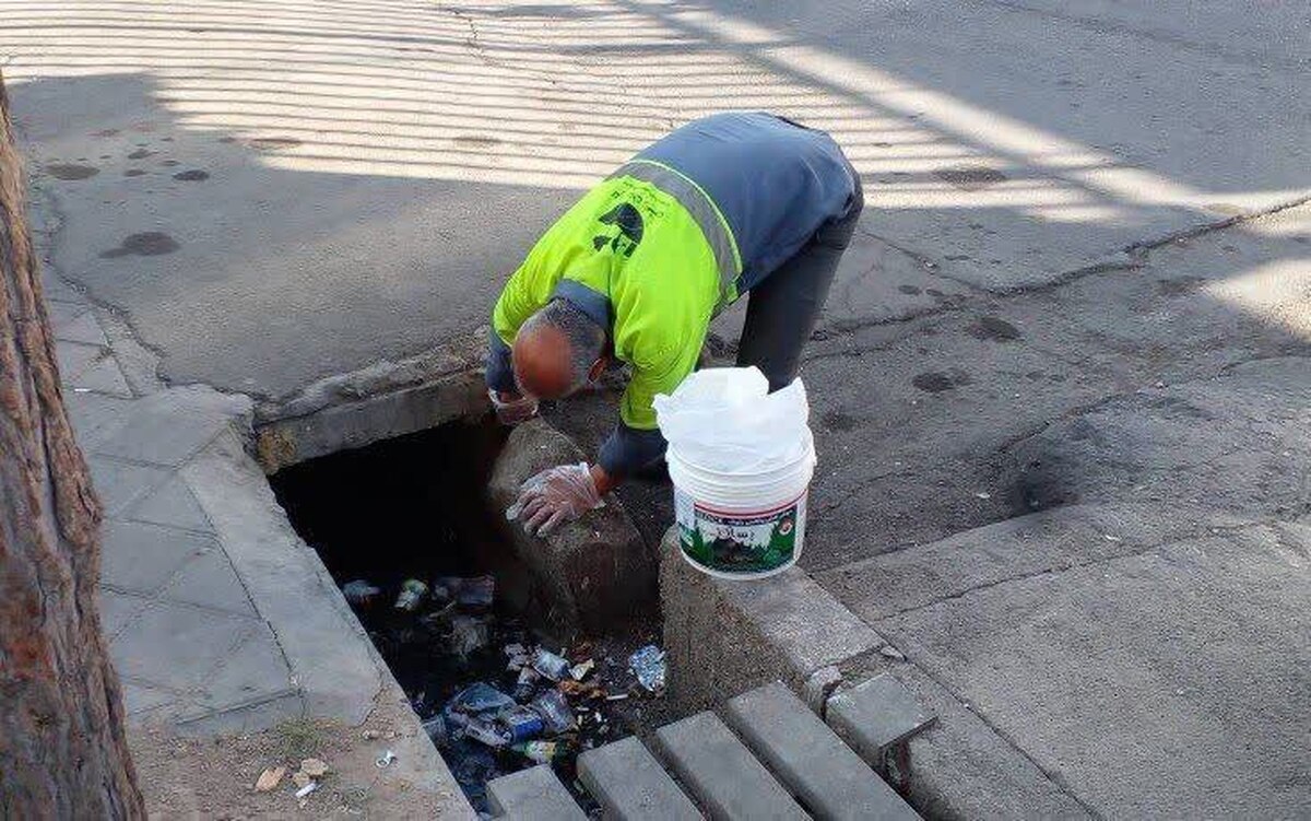 طعمه‌گذاری و امحای حیوانات موذی در نقاط مختلف شهر تهران