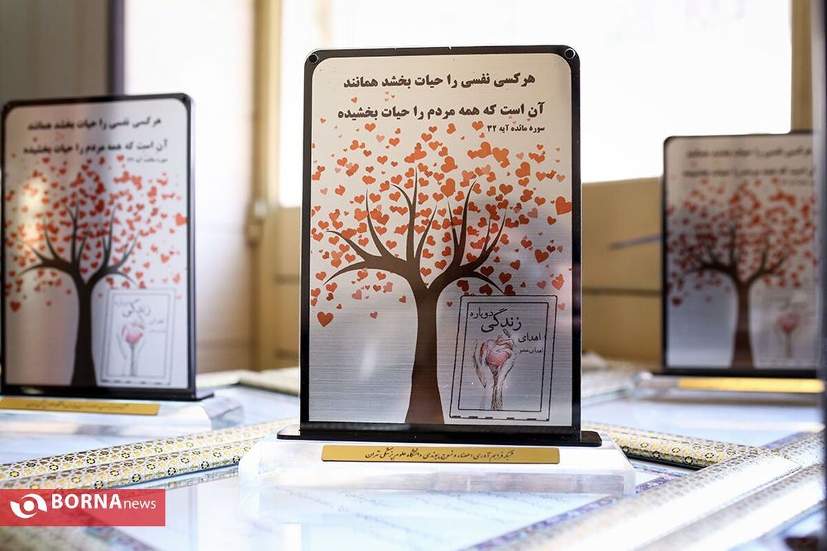 اهدای عضو «علی بادغن رودینی» نوجوان ۱۷ ساله در سمنان