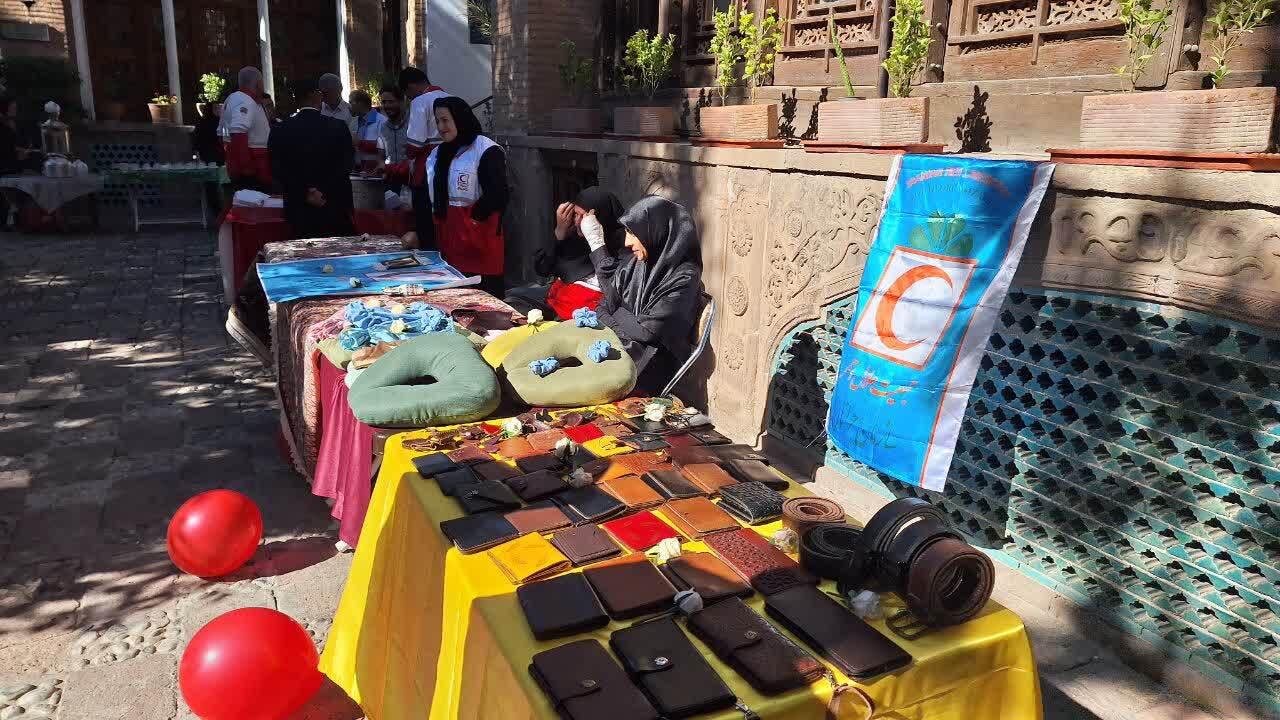 سازمان جوانان جمعیت هلال احمر ظرفیت غرس سالانه 7 میلیون اصله درخت را دارد 