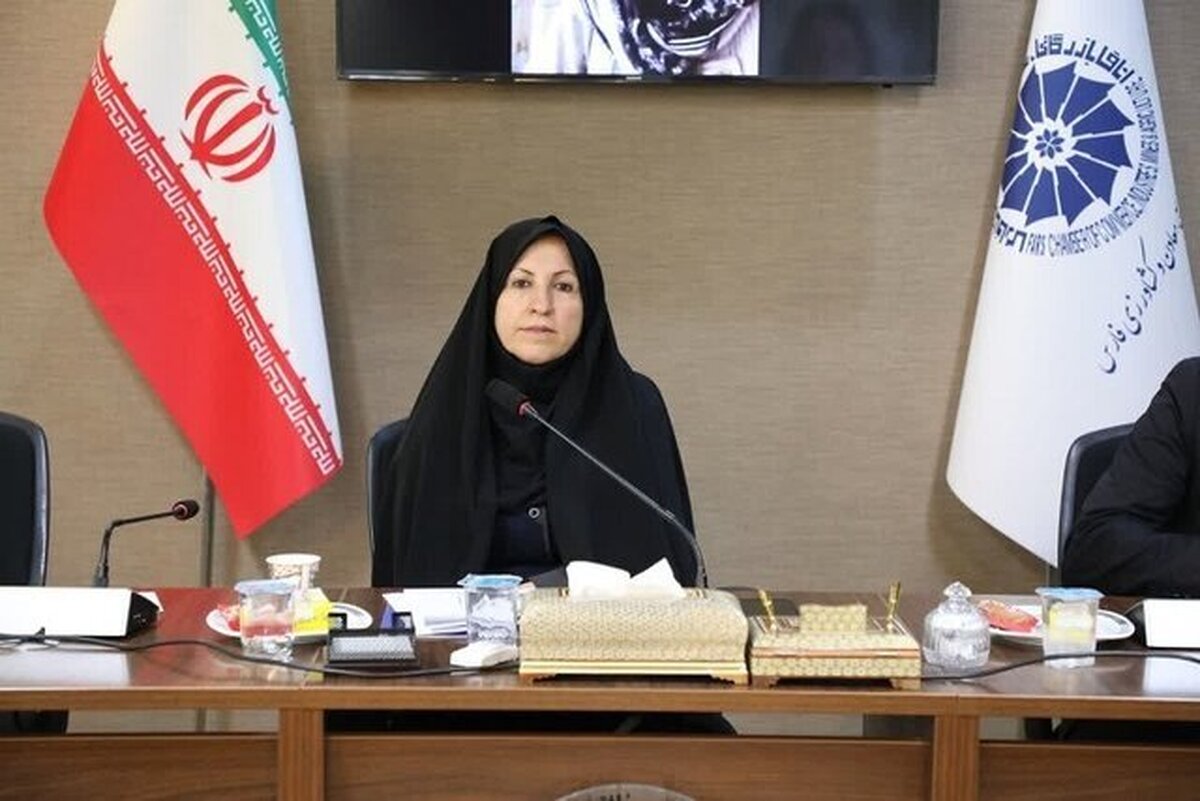 محبی: طرح «زنان کارآفرین مسئول» در فارس اجرا می شود