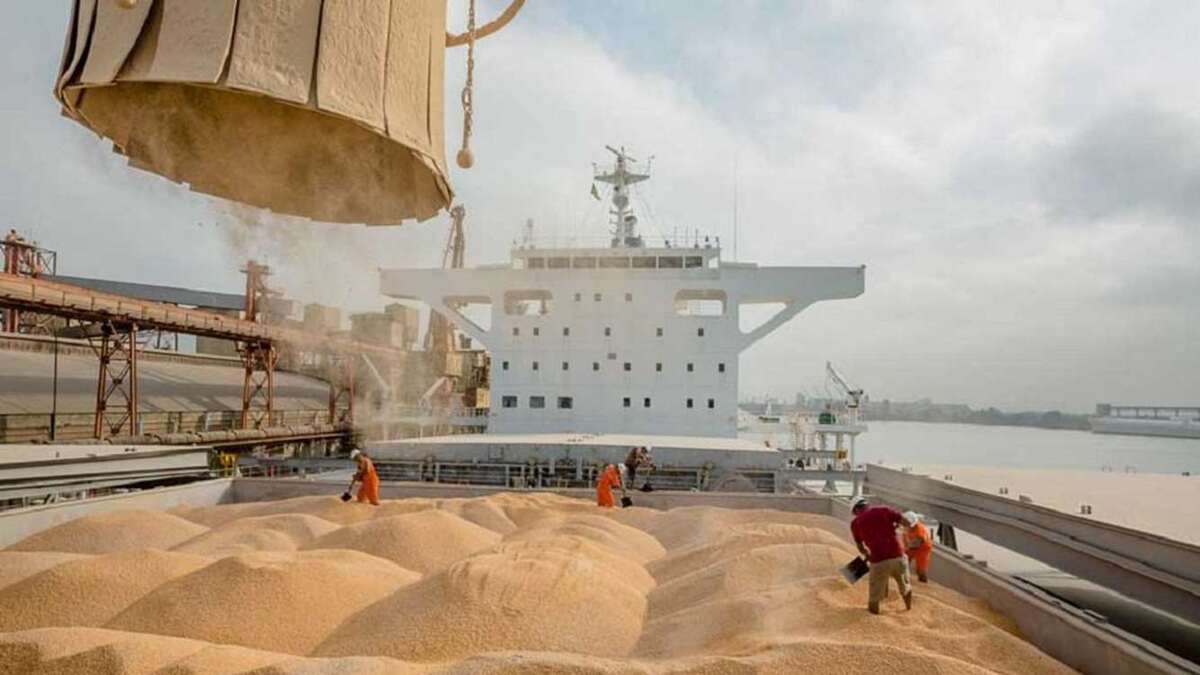 حمل بیش از یک میلیون و ۸۲ هزار تن نهاده دامی وارداتی به سراسر کشور