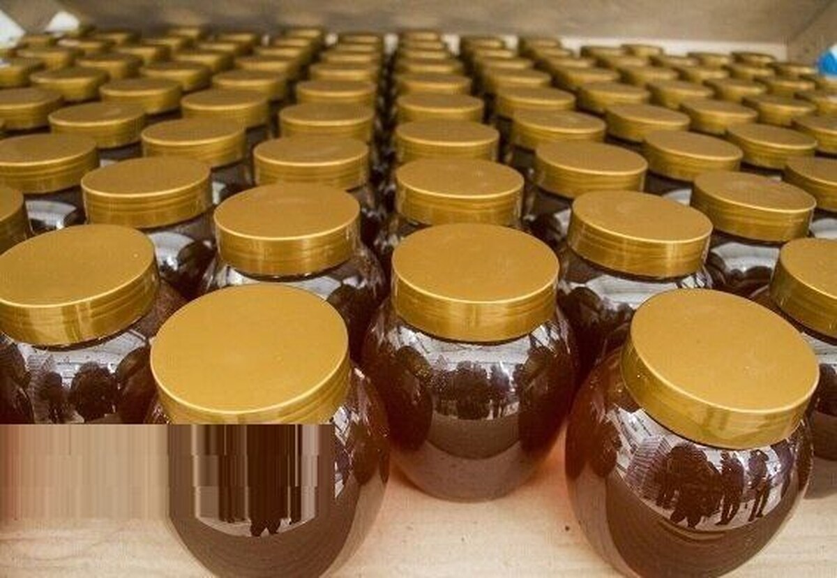 بیش از ۴ تن عسل فاقد مجوز بهداشتی در طبس توقیف شد