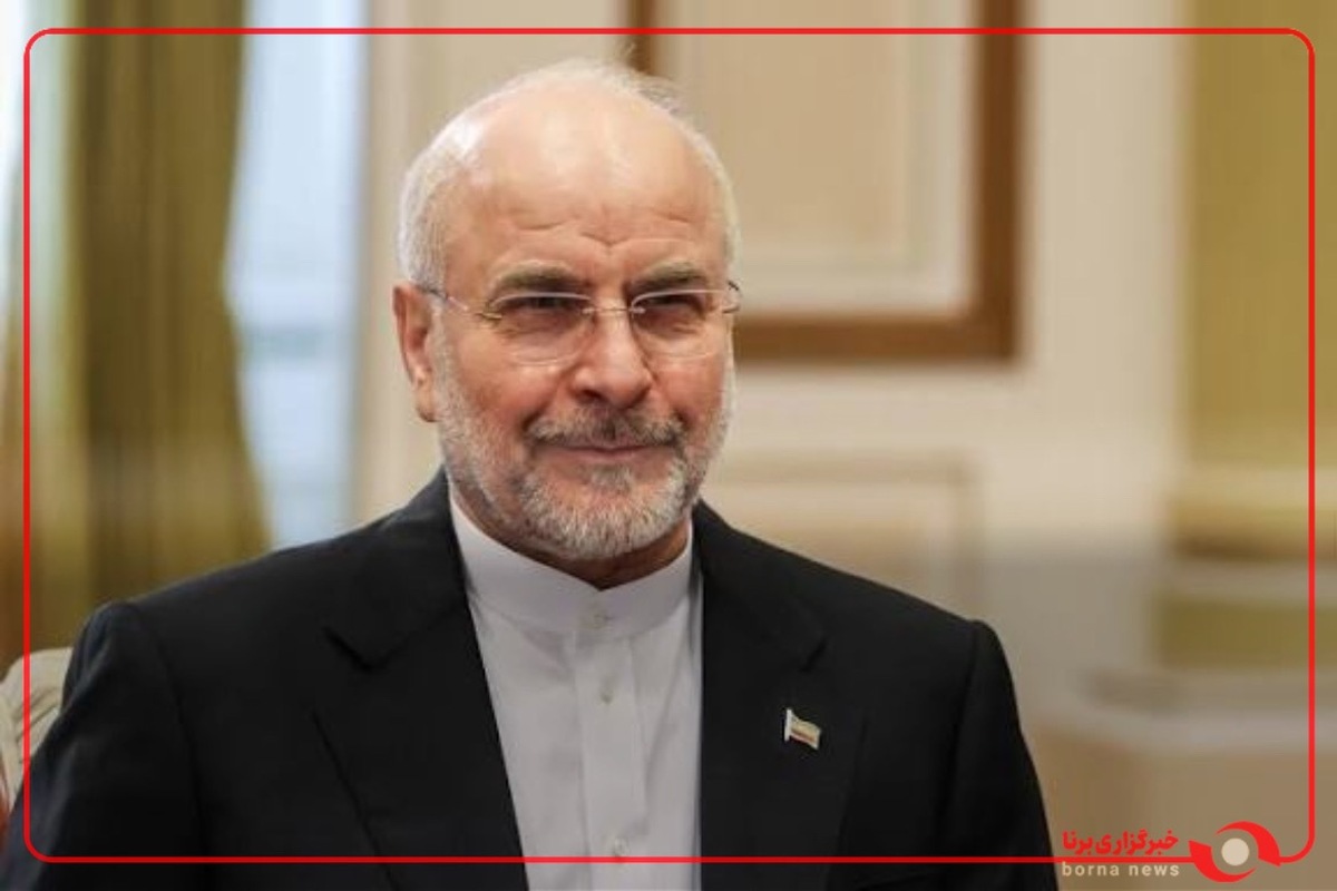 توسعه روابط پارلمانی از اهداف سفر به پاکستان است