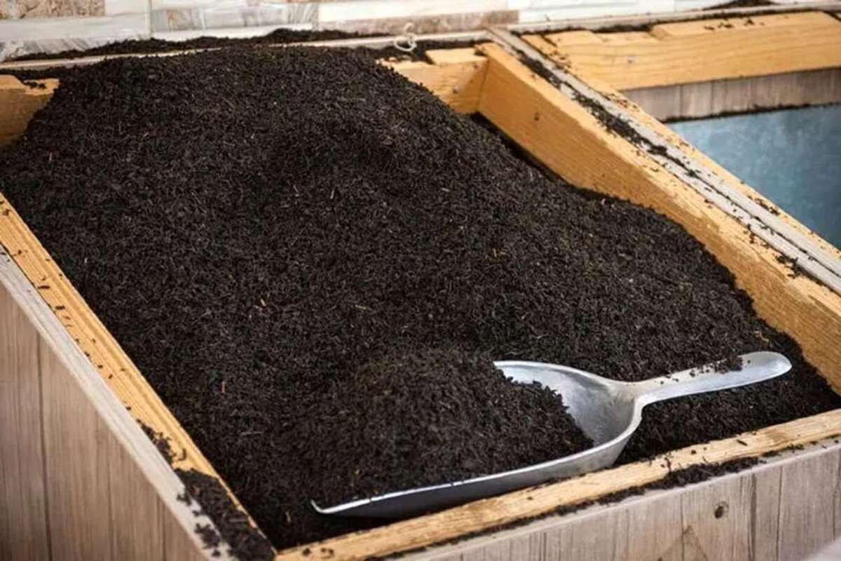 آغاز ثبت سفارش چای از شنبه ۱۷ آبان ۱۴۰۴