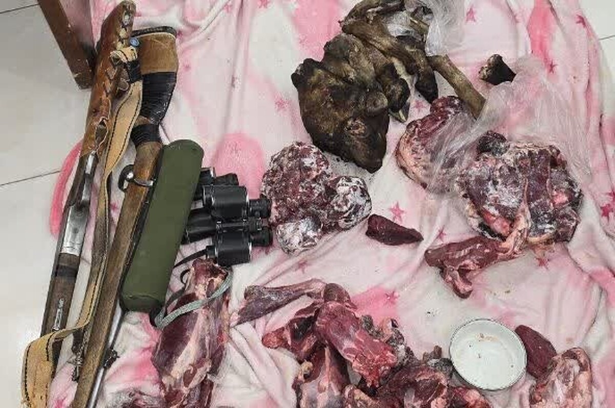 کشف و دستگیری باند شکارچیان غیرمجاز در بهاباد