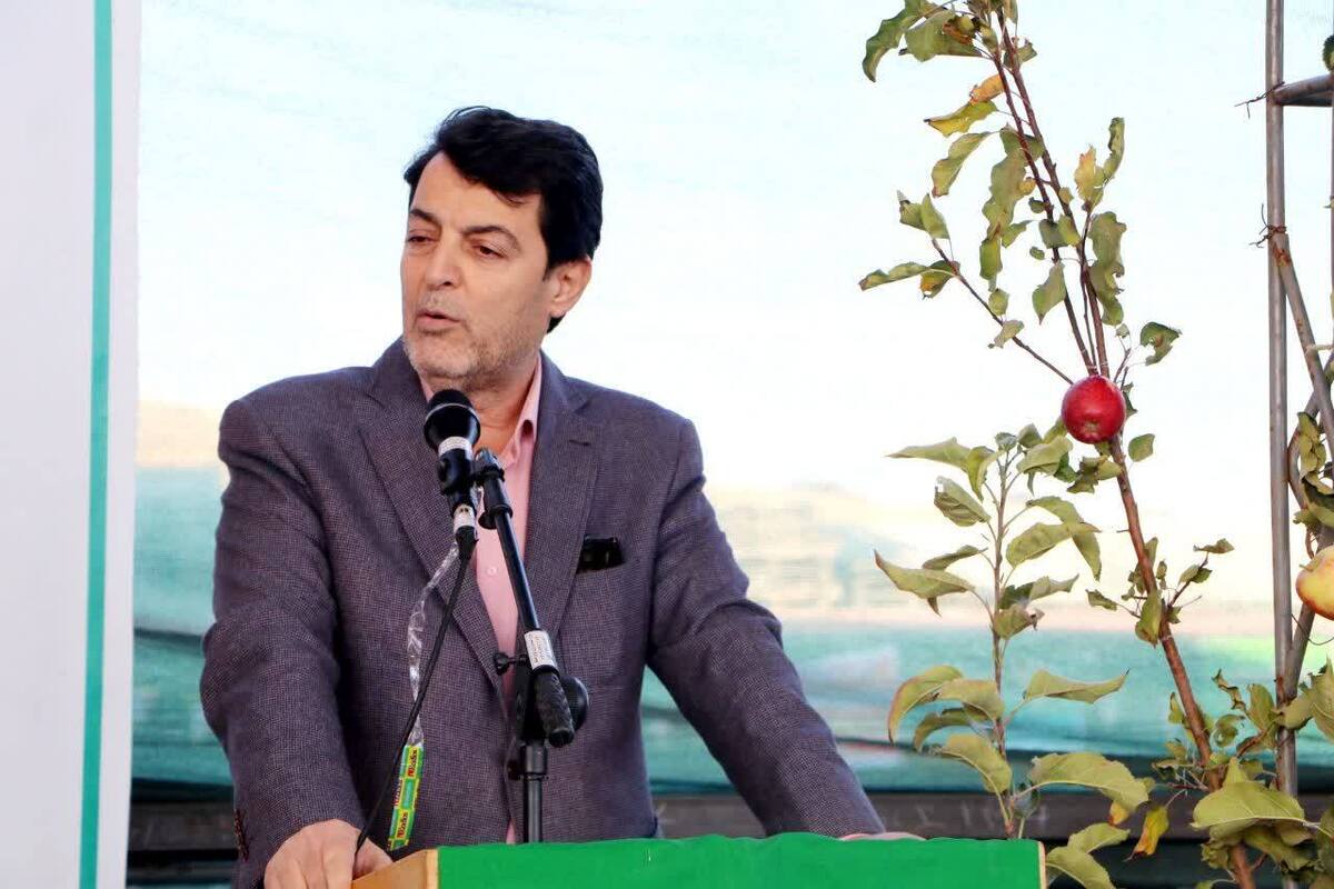 افتتاح نخستین مرکز فرآوری سیب غرب کشور در بروجرد تا بهمن‌ماه