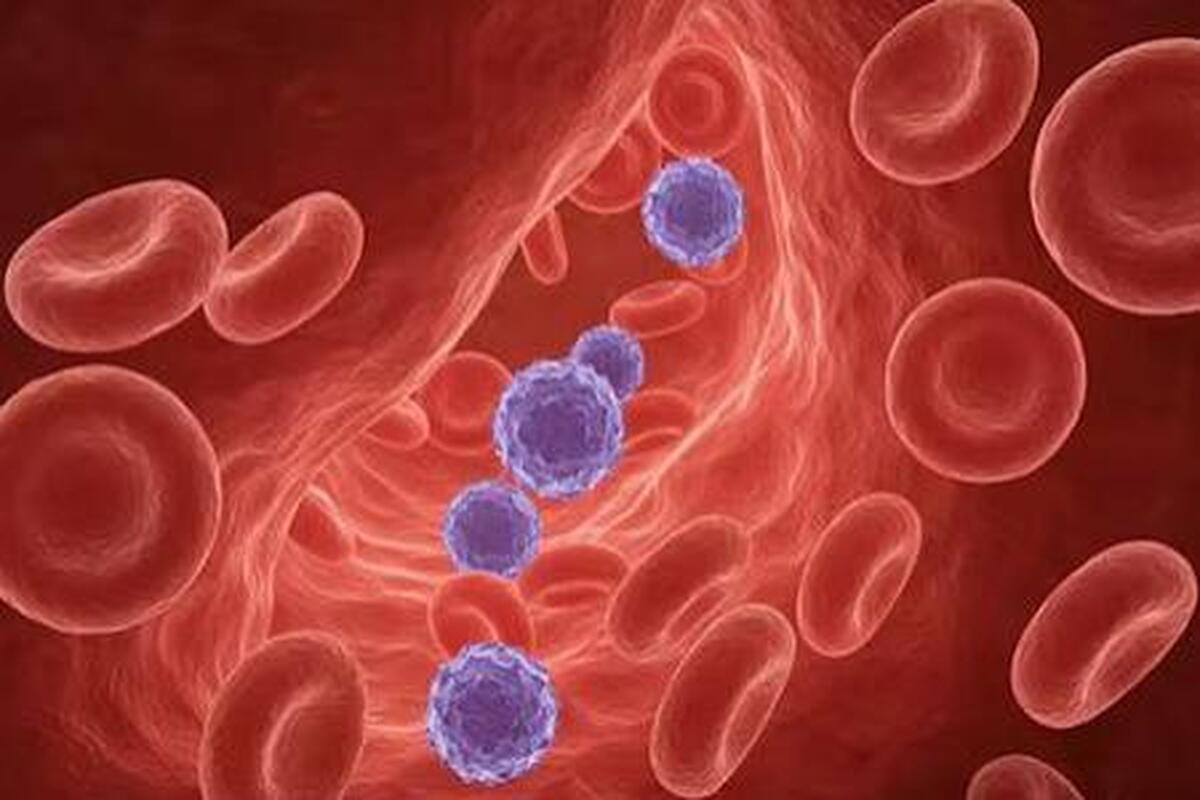 چهل و هشتمین سیستم گروه خونی انسان کشف شد