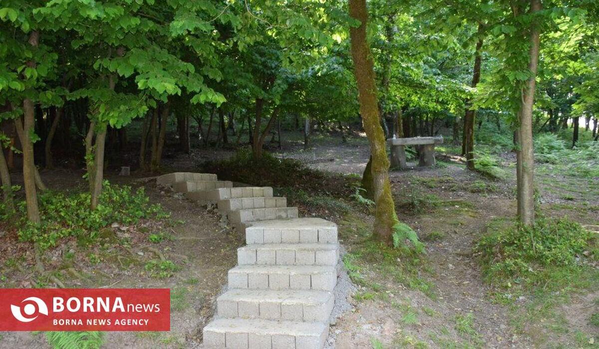 راه‌اندازی نخستین پارک آموزشی تغییر اقلیم کشور در طالقان؛ گامی نو در ترویج آموزش‌های محیط‌زیستی