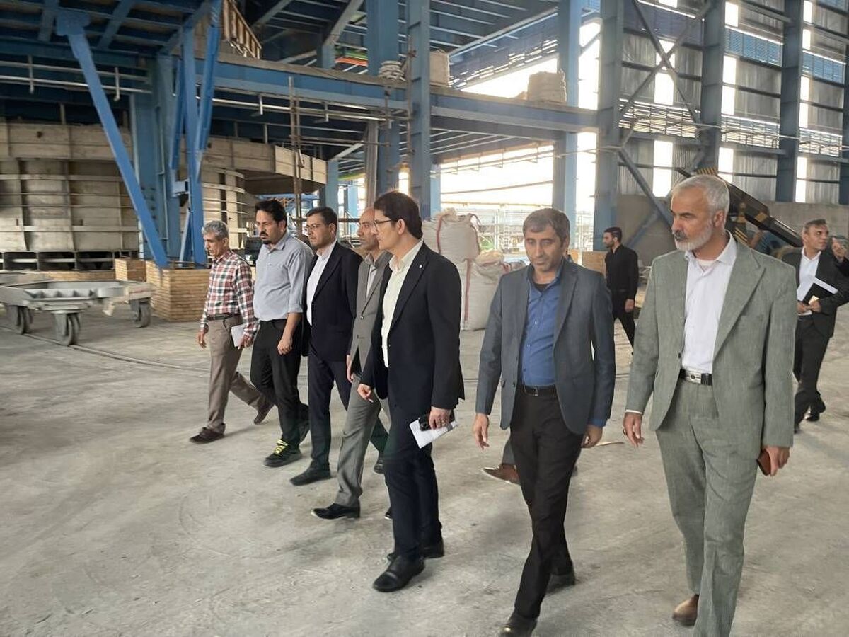 پیشرفت ۹۰ درصدی طرح تولید فروسیلیسیم در دشتی