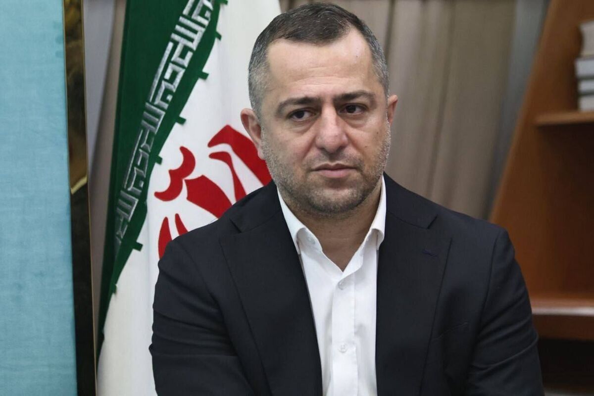 قدردانی معاون امور جوانان از عوامل برگزاری انتخابات شبکه‌های تخصصی سمن‌های جوانان