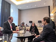 در دیدار نماینده ایران با اعضای مجمع ACD چه گذشت؟