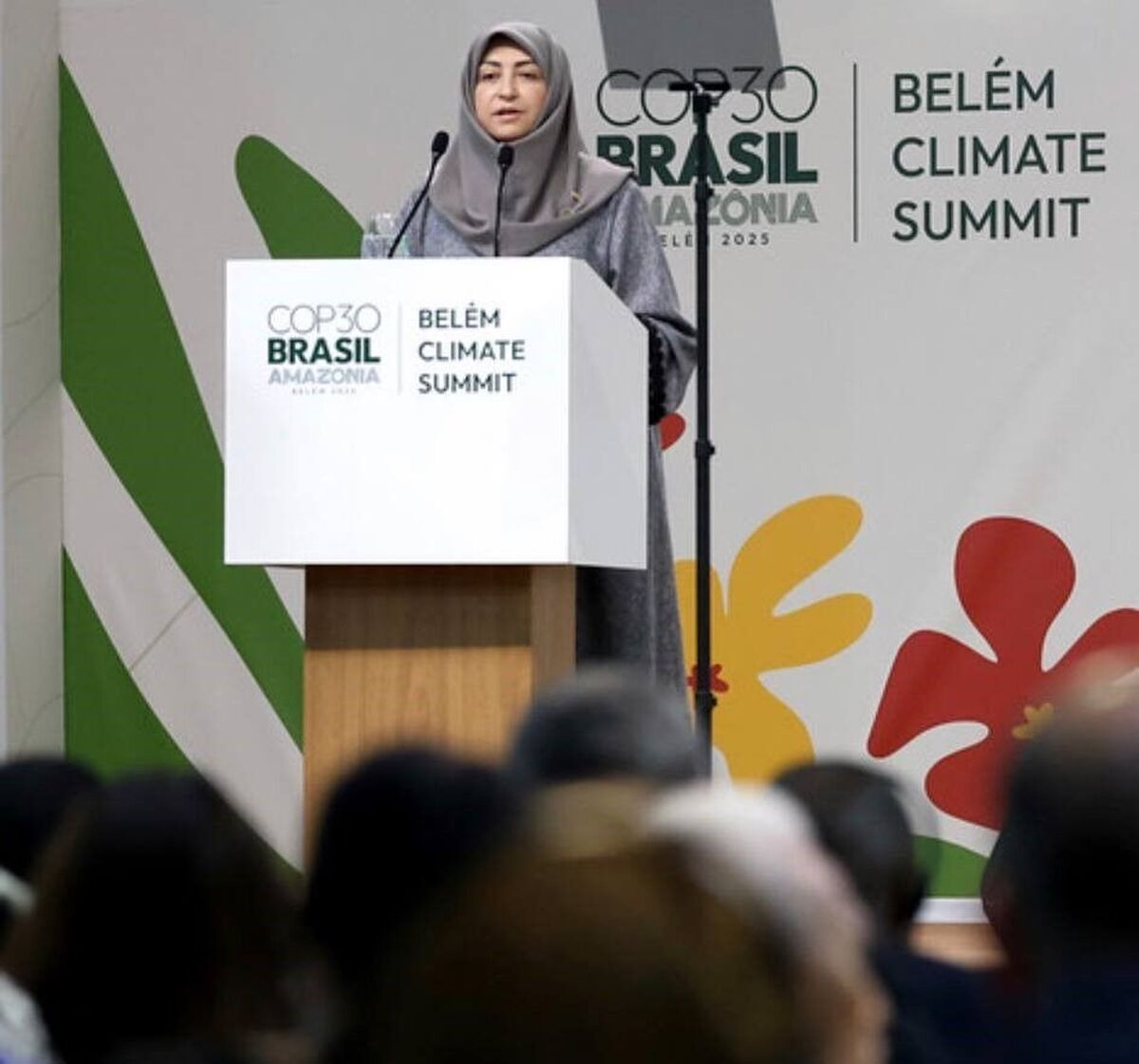 ایران با وجود تحریم‌ها به تعهدات اقلیمی خود پایبند است