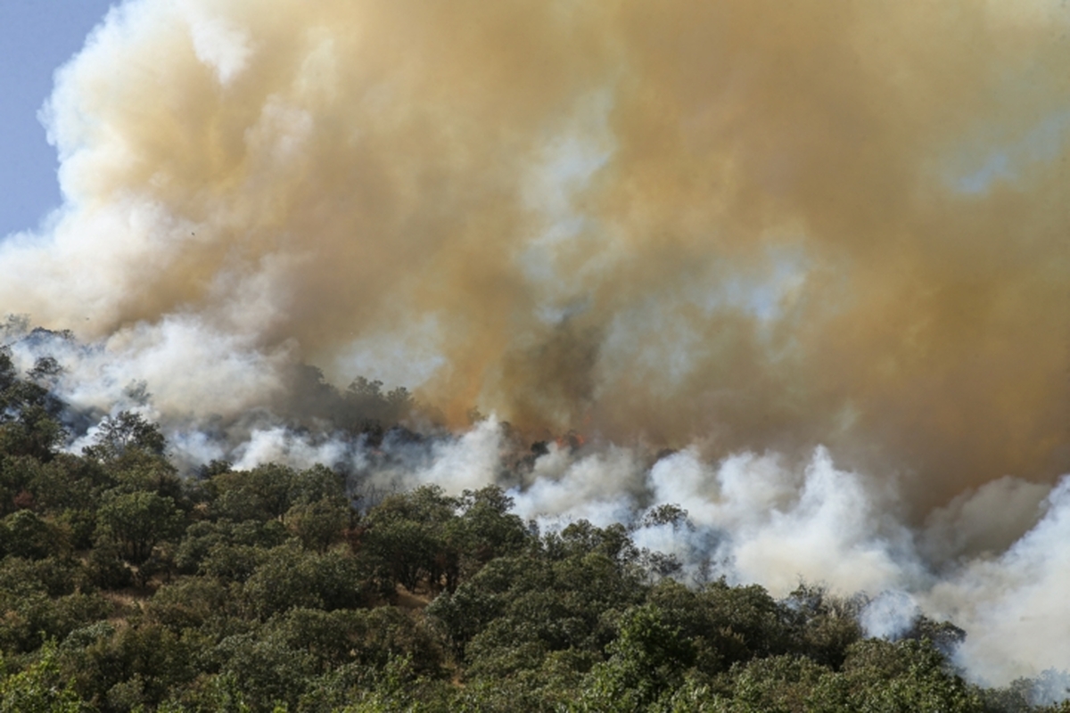نبردِ تَن‌به‌تَن اِلیت با آتش در مرزن آباد