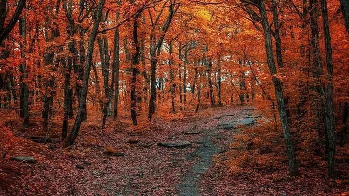 سمفونی گردشگری تاریخی و طبیعی شیراز؛ گزند مدیرنیته بر دامان اصالت قلات