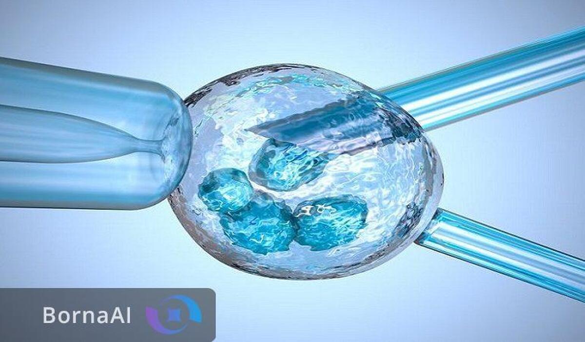 راه‌اندازی کلینیک‌های ویژه سقط مکرر در ابن‌سینا برای درمان هدفمند زوج‌ها