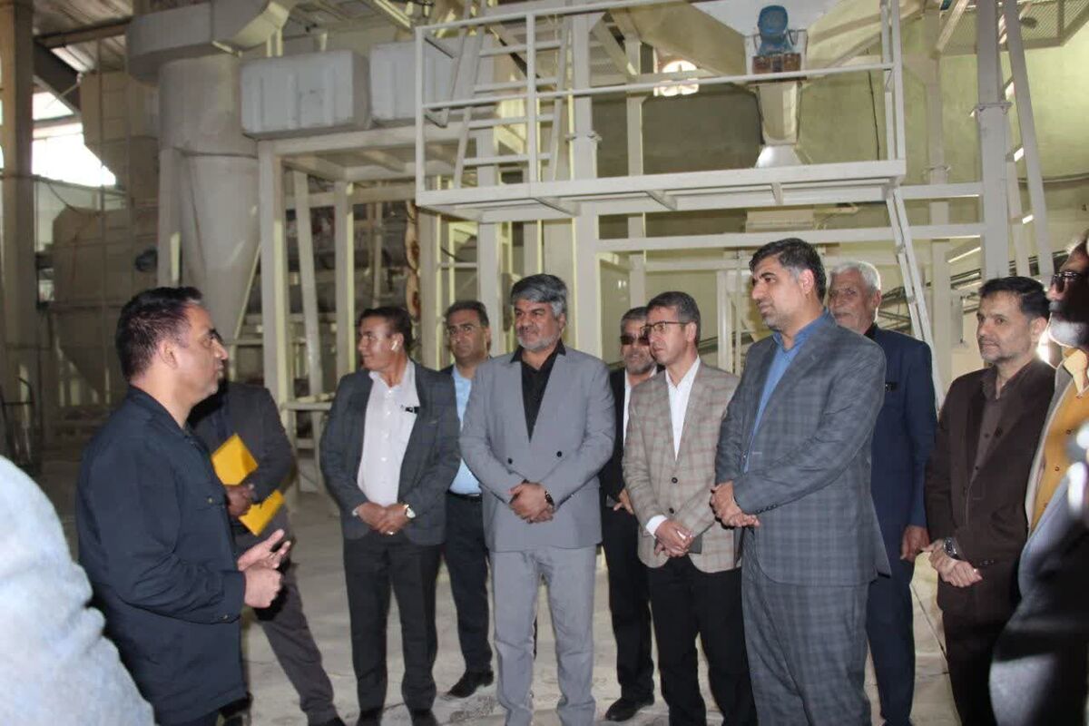 احیای تنها کارخانه تولید خوراک دام رفسنجان پس از ۲ سال تعطیلی