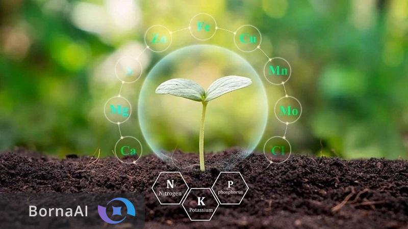 نجات خاک و سفره مردم با فناوری اوره نانویی؛ مصرف کود یکسوم میشود! نجات خاک و سفره مردم با فناوری اوره نانویی؛ مصرف کود یکسوم میشود!