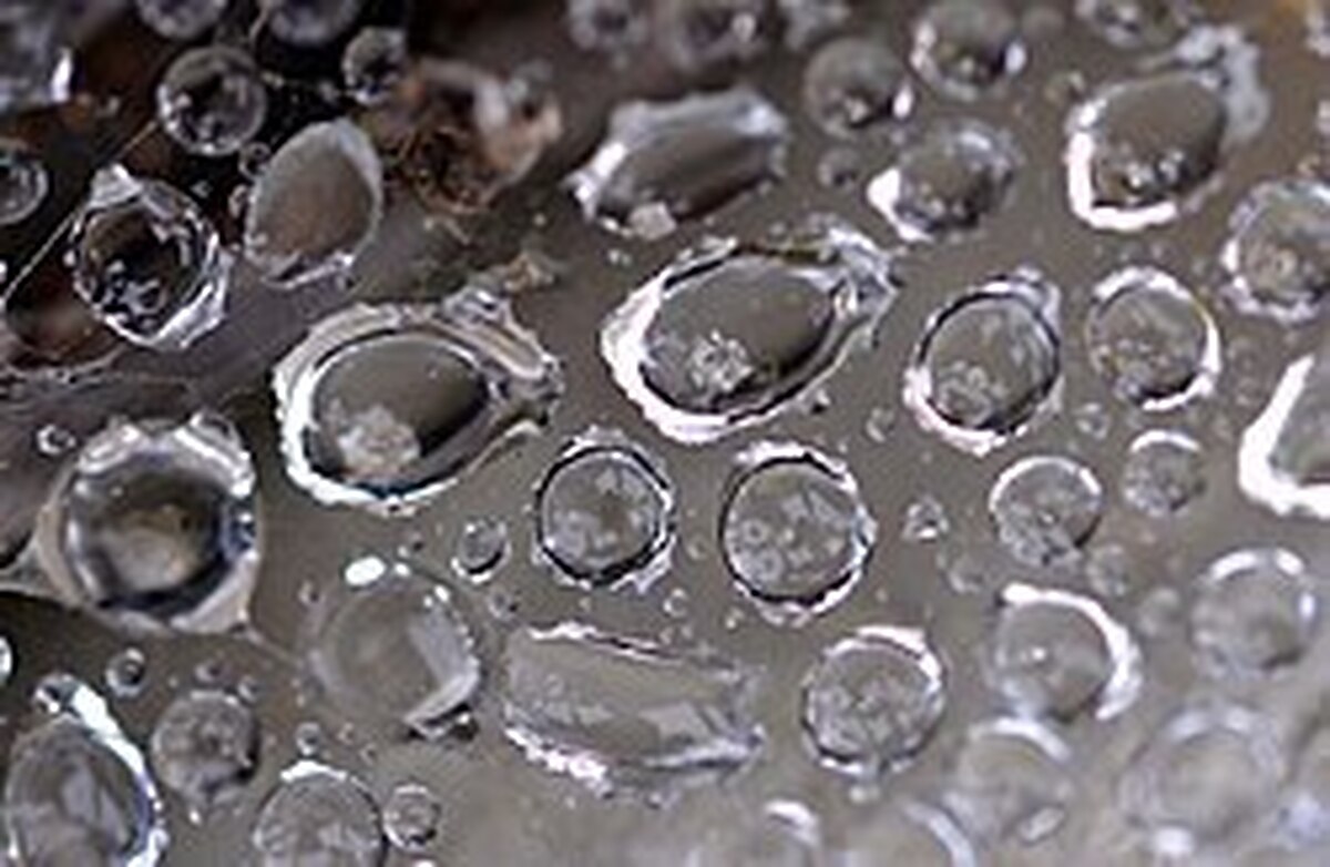 باران ریزه در مغان مهم‌ترین پدیده جوی استان اردبیل