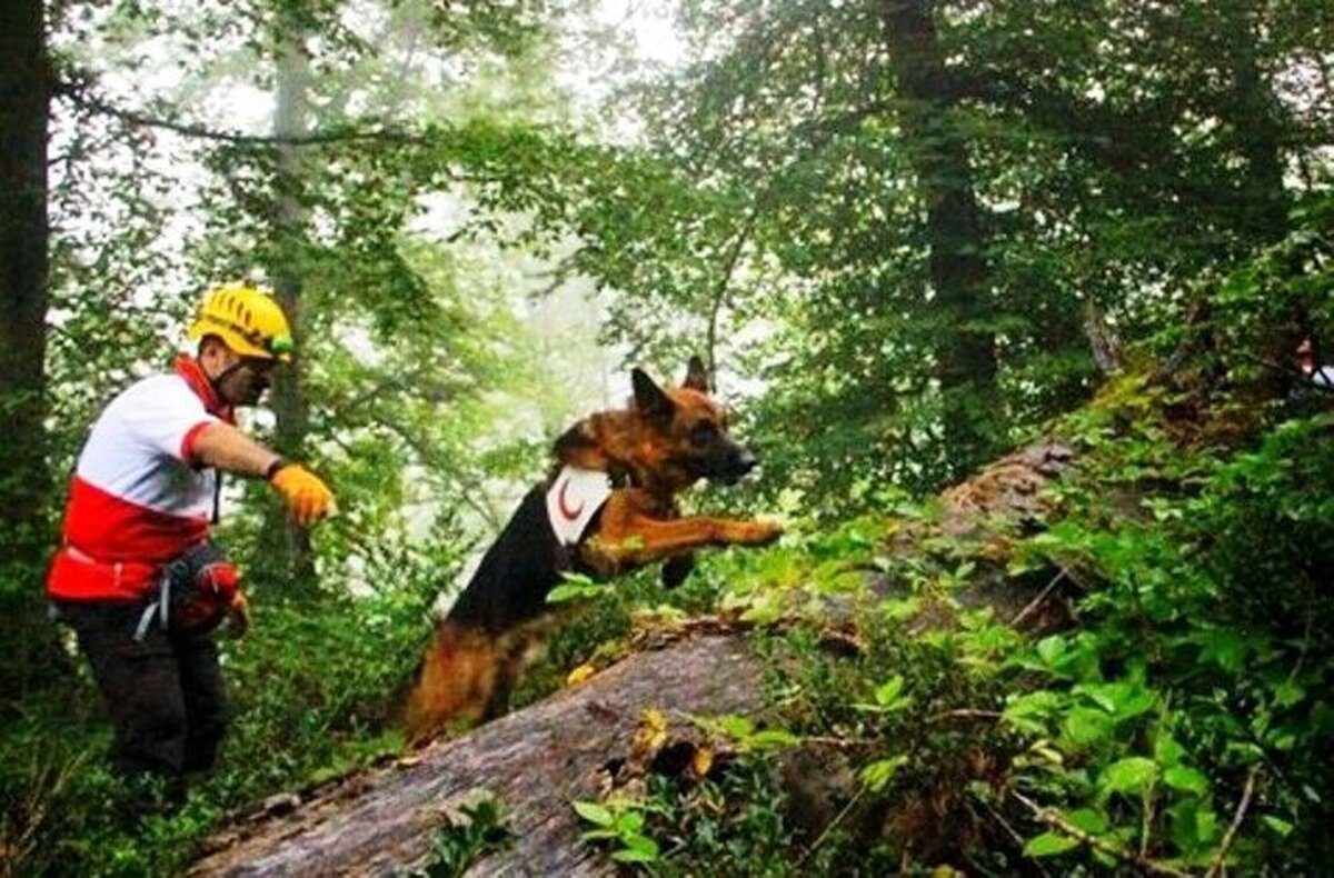 عملیات نجات ۱۲گردشگر پس از ۱۵ ساعت مفقود در جنگل‌های بندپی غربی بابل