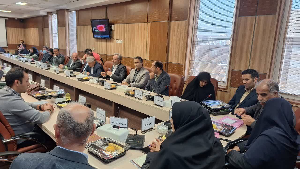 در طرح استراتژی بدمینتون آموزش، استعدادیابی و سیاست های تشویقی در اولویت است