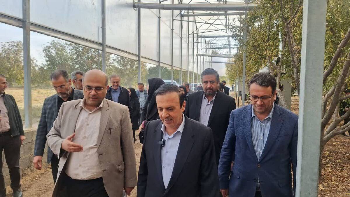 چهارشنبه های صنعتی استاندار قزوین در واحدهای کشاورزی 