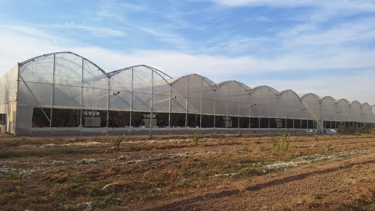 چهارشنبه های صنعتی استاندار قزوین در واحدهای کشاورزی چهارشنبه های صنعتی استاندار قزوین در واحدهای کشاورزی