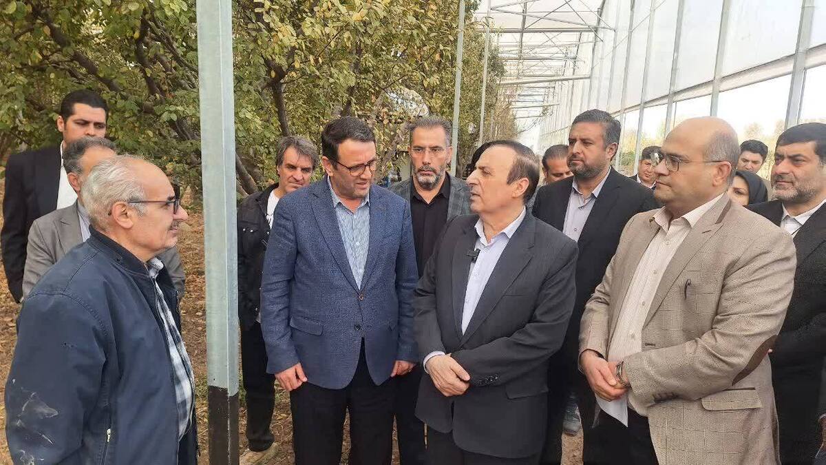 نوذری: افزایش بهره وری در کشاورزی مورد توجه قرار گیرد