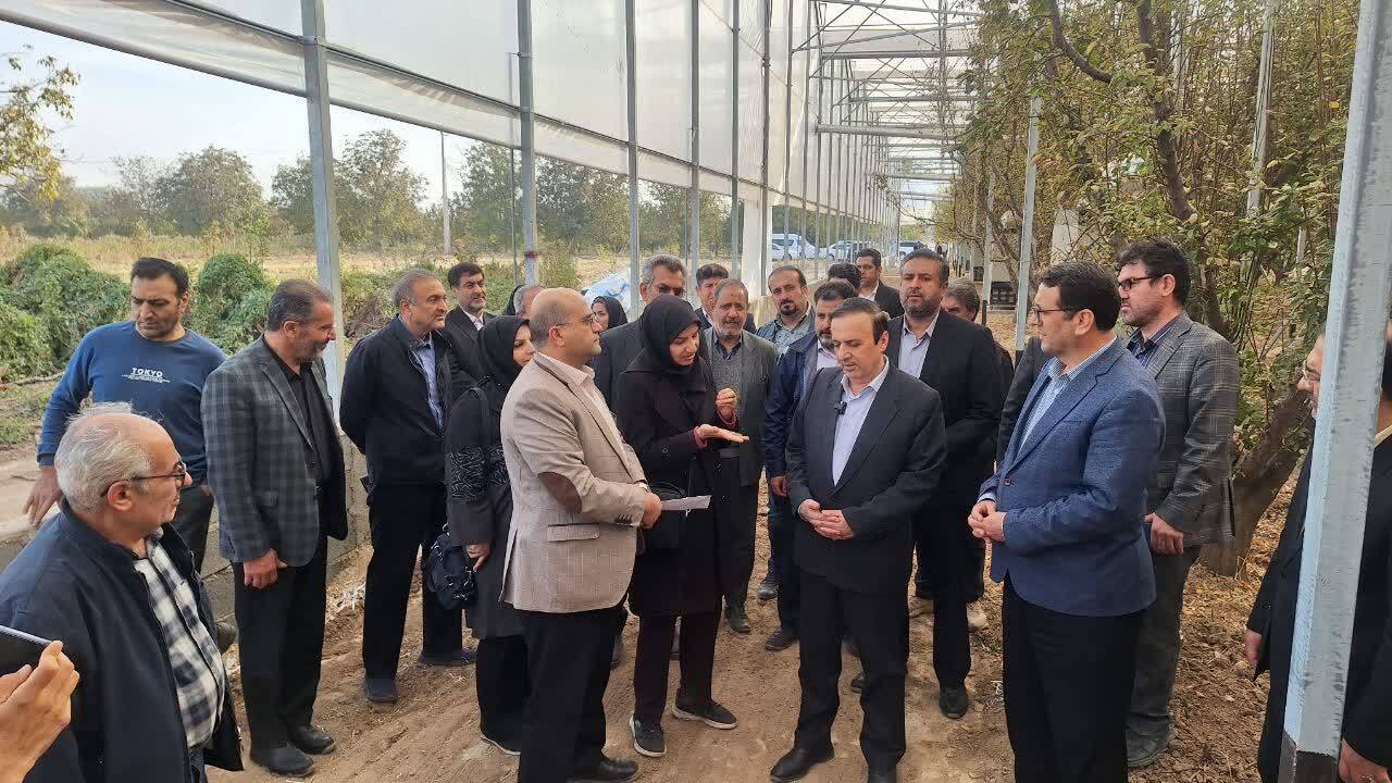 نوذری: افزایش بهره وری در کشاورزی مورد توجه قرار گیرد نوذری: افزایش بهره وری در کشاورزی مورد توجه قرار گیرد