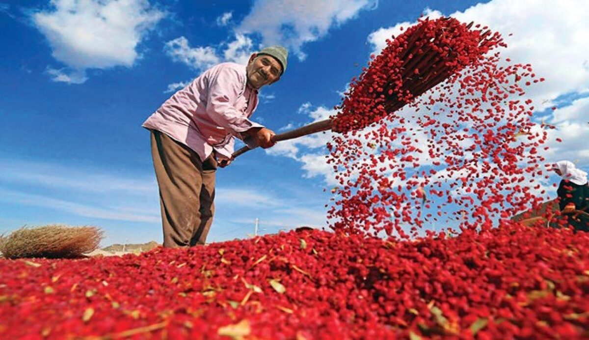 ایجاد ۳ هزار و ۵۰۰ شغل در خراسان جنوبی توسط بنیاد علوی