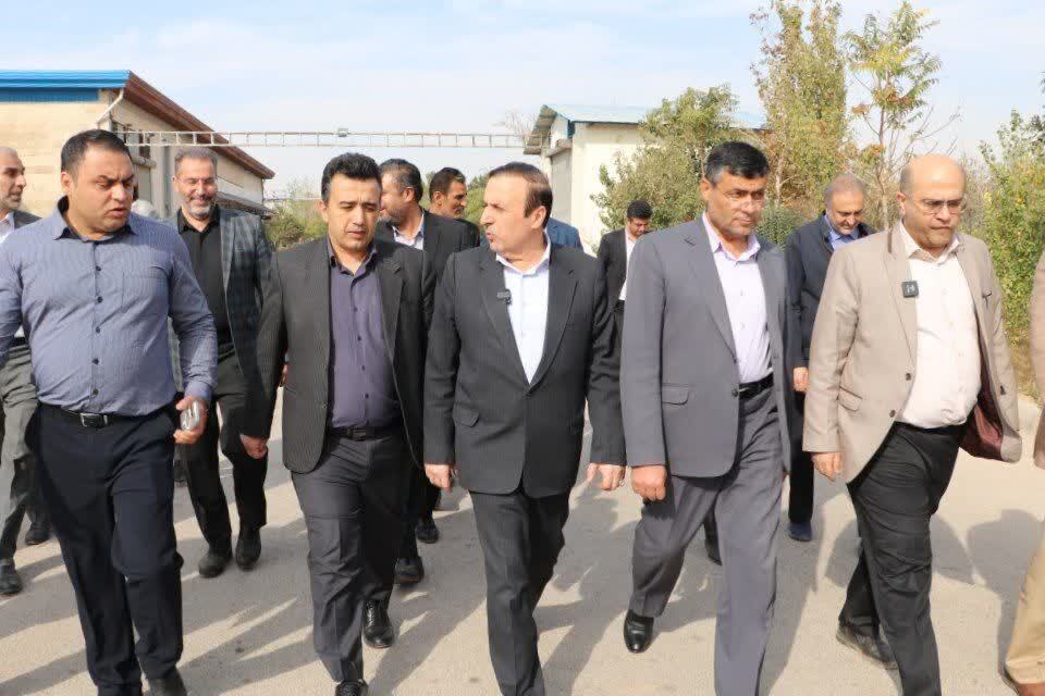 استاندار قزوین از کشتارگاه صنعتی دام قزوین دشت بره در شهرستان بوئین‌زهرا بازدید کرد 