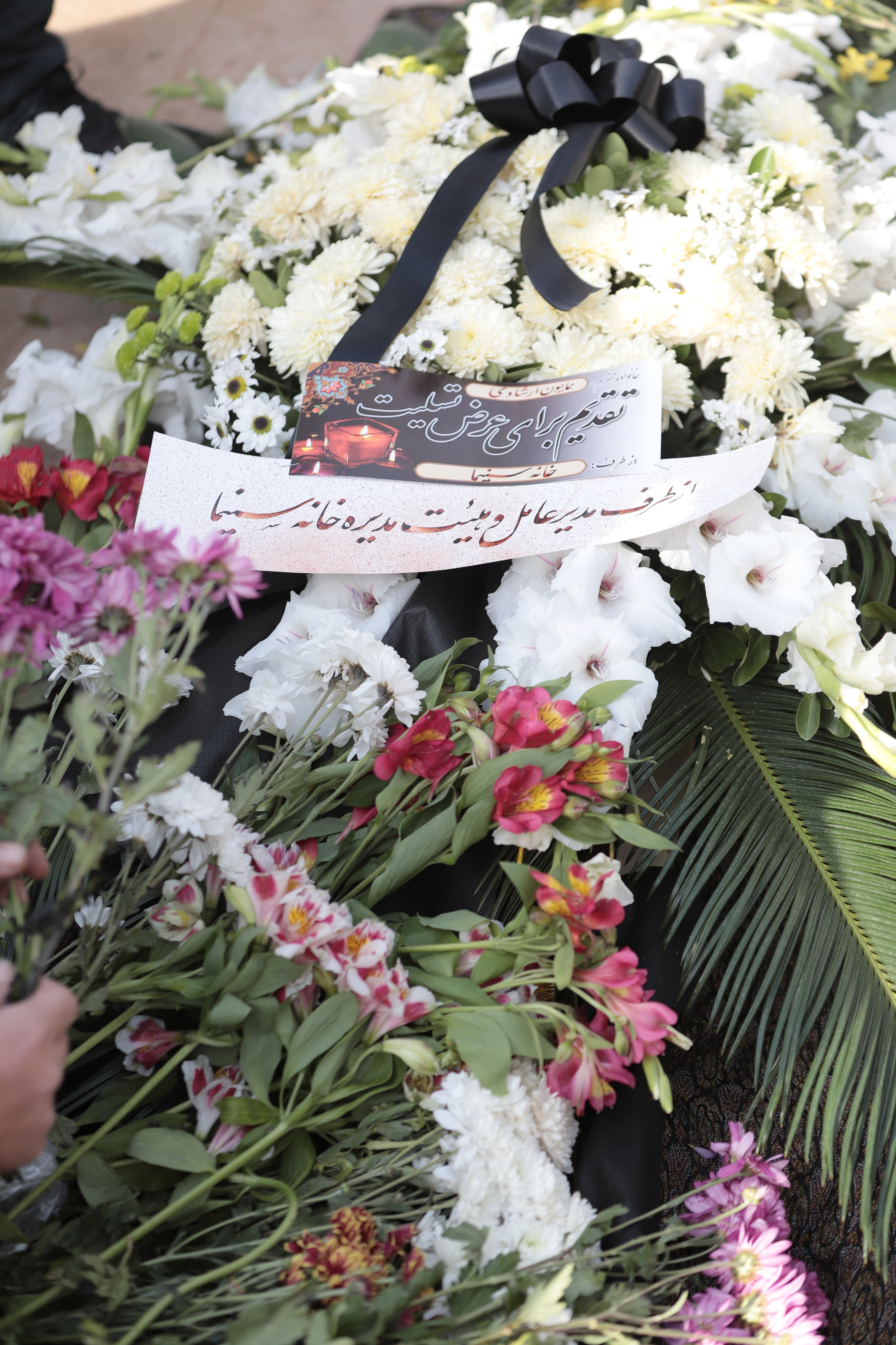 پیکر همایون ارشادی به خاک سپرده شد پیکر همایون ارشادی به خاک سپرده شد