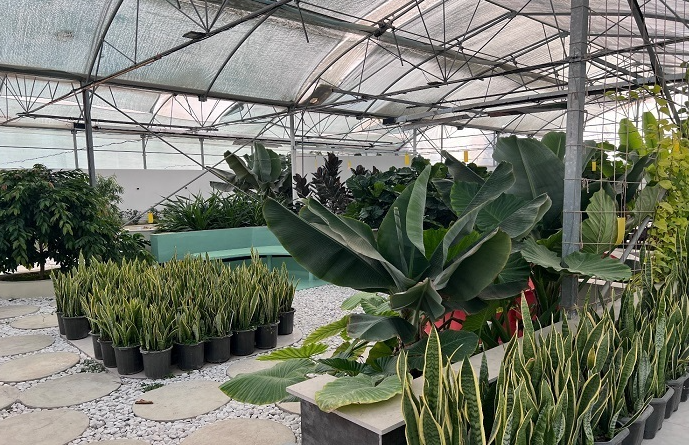 نخستین مجتمع گردشگری کشاورزی در شهر قزوین گشایش یافت