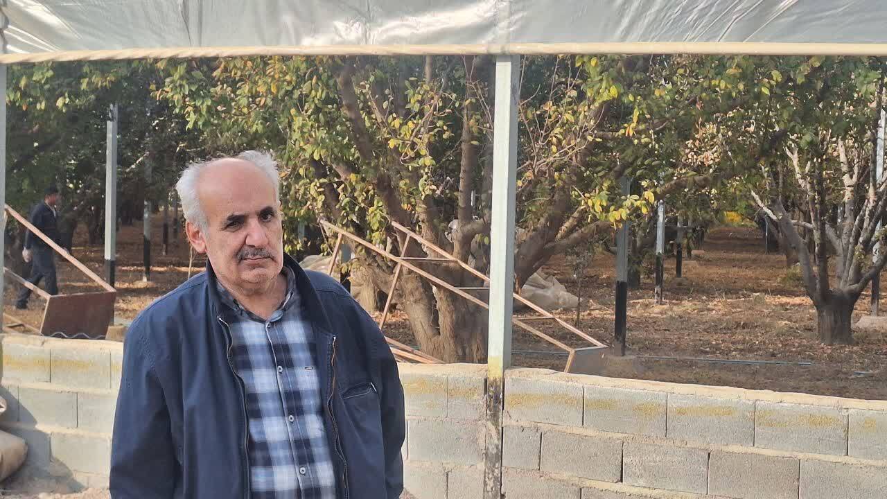 چهارشنبه های صنعتی استاندار قزوین در واحدهای کشاورزی چهارشنبه های صنعتی استاندار قزوین در واحدهای کشاورزی