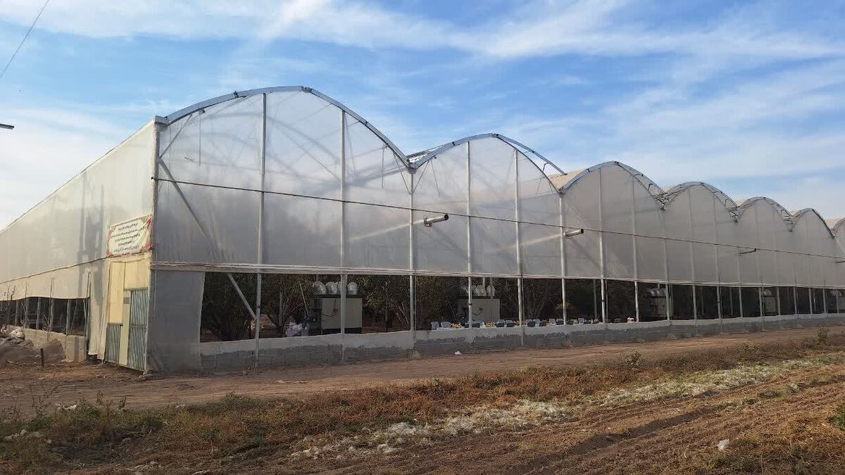 فعالیت گلخانه ای با آخرین متدهای جهانی در قزوین 