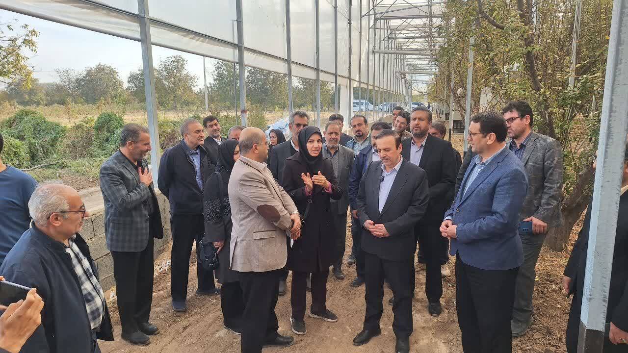 فعالیت گلخانه ای با آخرین متدهای جهانی در قزوین 