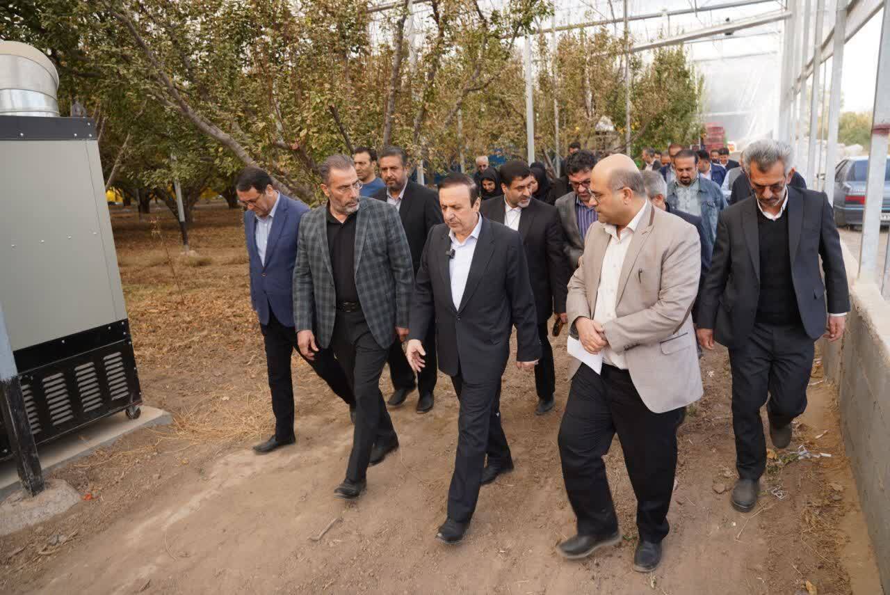 فعالیت گلخانه ای با آخرین متدهای جهانی در قزوین 