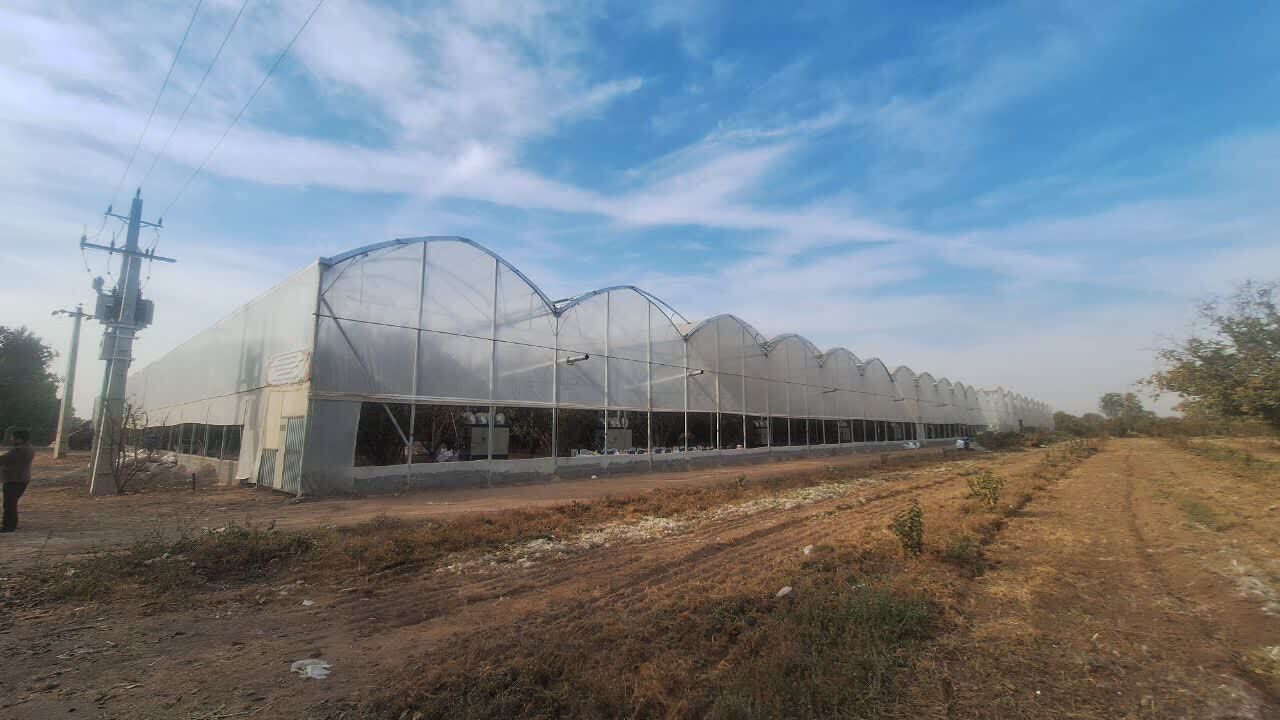 فعالیت گلخانه ای با آخرین متدهای جهانی در قزوین 