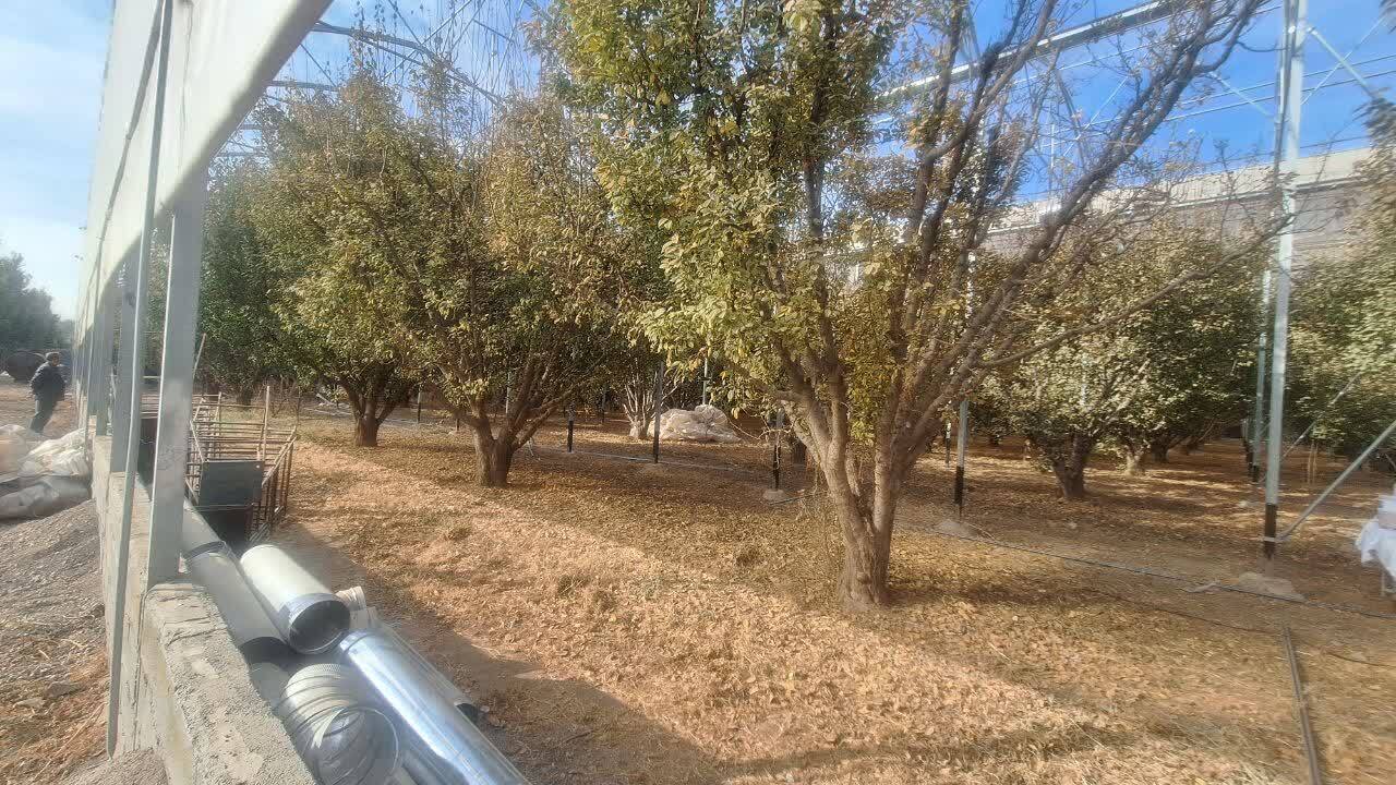 فعالیت گلخانه ای با آخرین متدهای جهانی در قزوین 