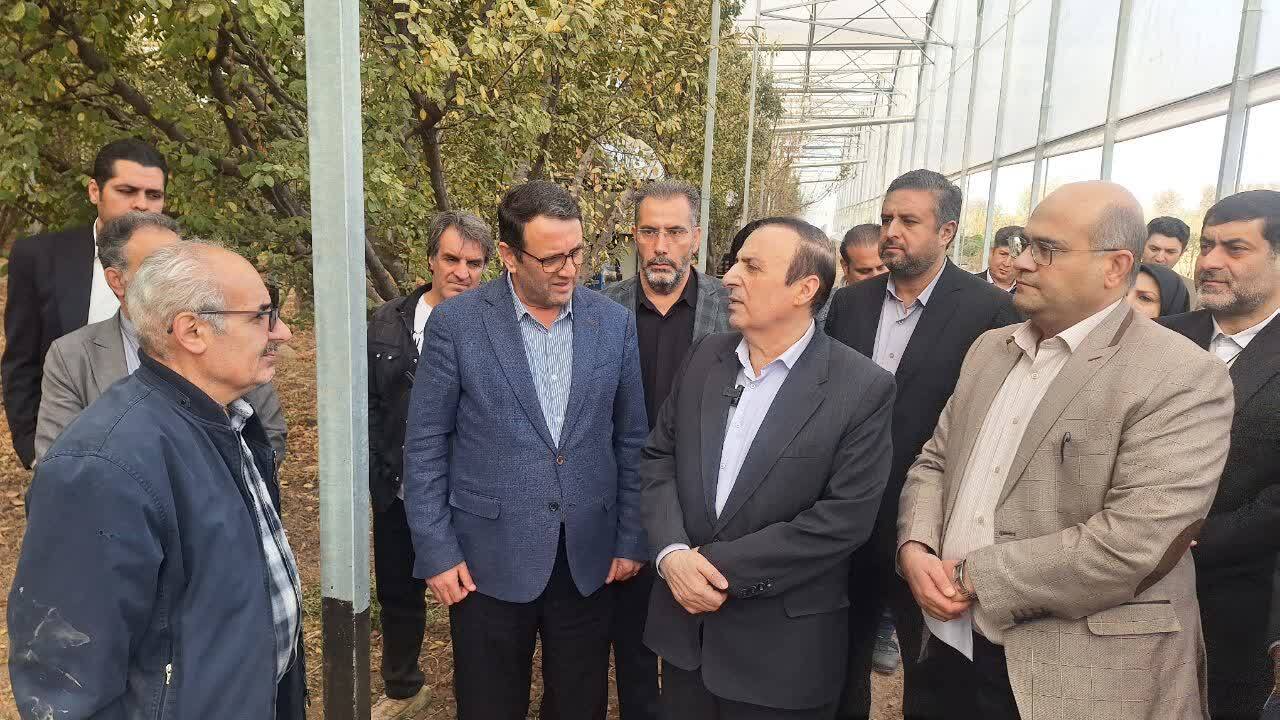 فعالیت گلخانه ای با آخرین متدهای جهانی در قزوین 