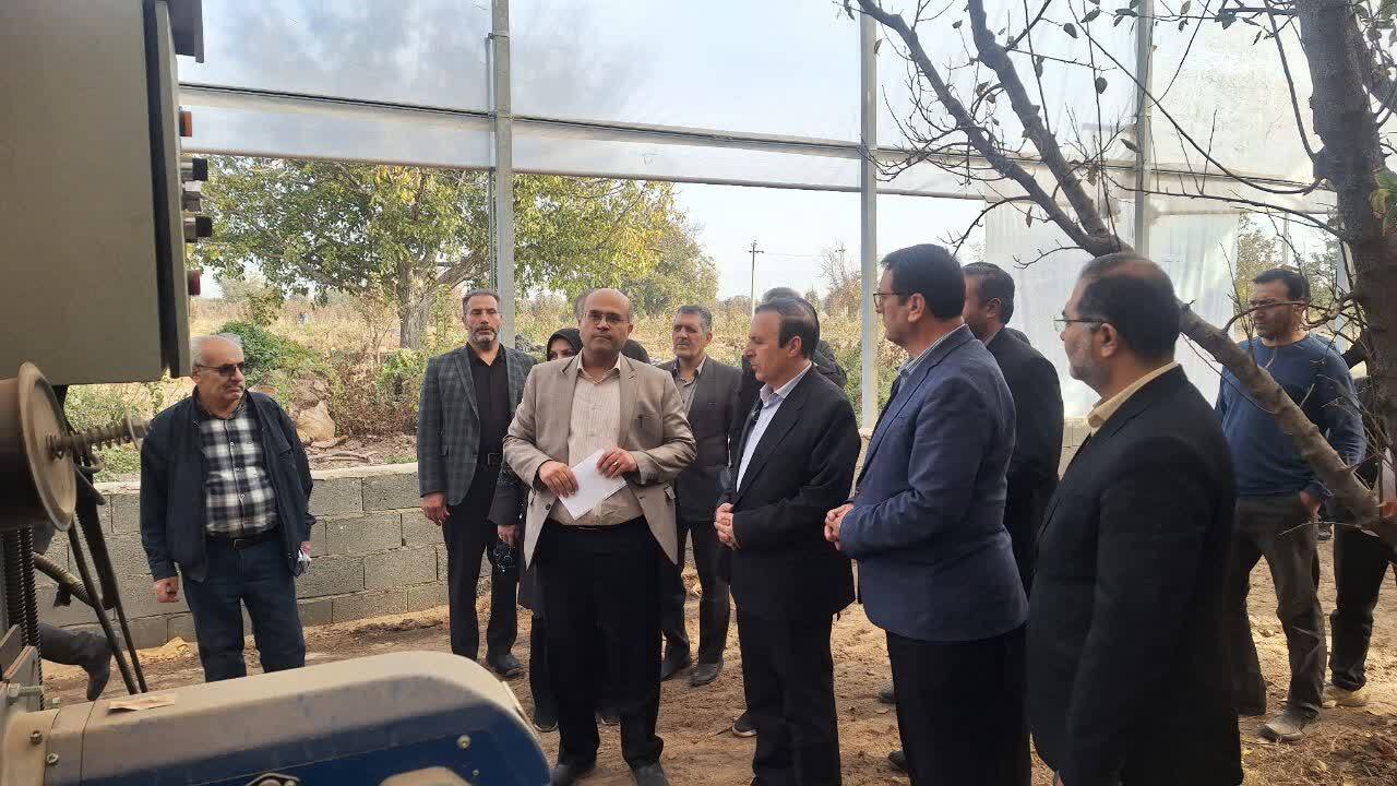 فعالیت گلخانه ای با آخرین متدهای جهانی در قزوین 