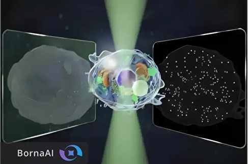 میکروسکوپ جدید توکیو هم‌زمان میکرو و نانو را می‌بیند