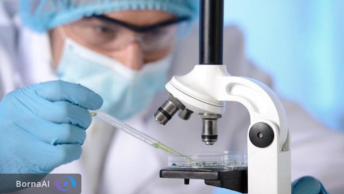 نام پژوهشگر ایرانی در میان دو درصد برترین‌های جهان در سال ۲۰۲۵